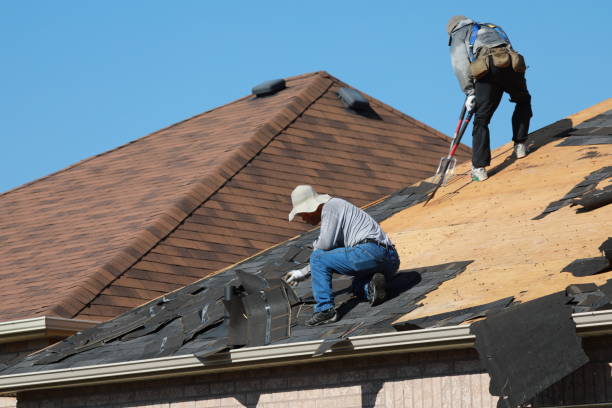 Best Roof Coating and Sealing  in Ames Lake, WA